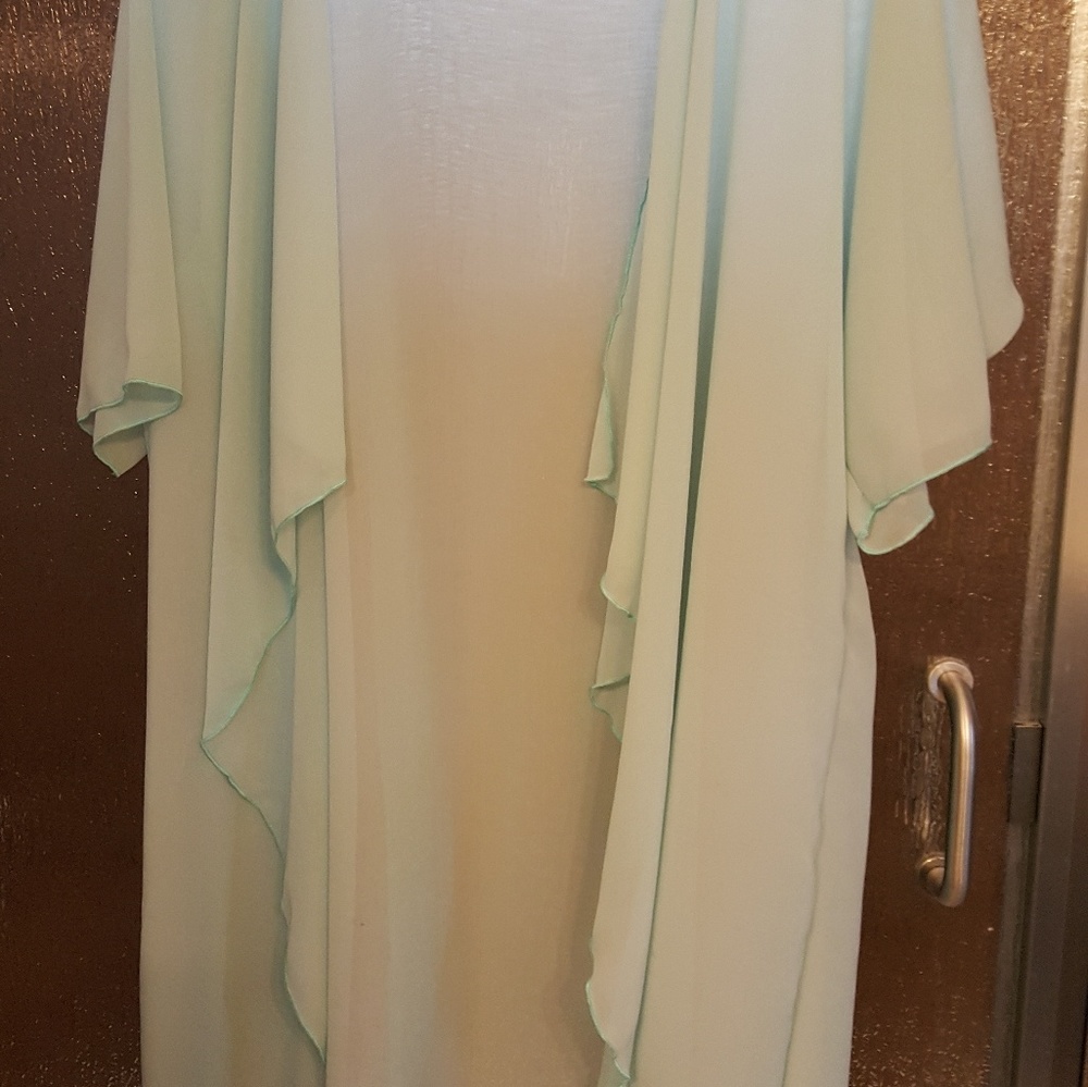 Large mint sheer shirley